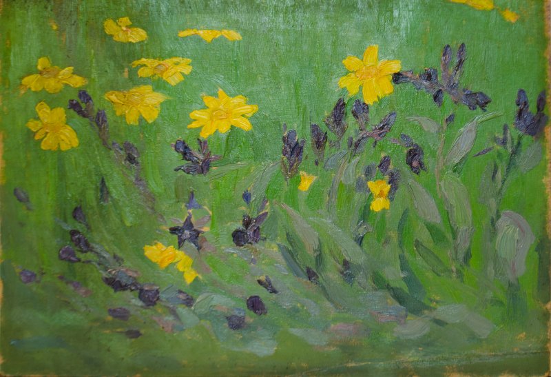 1910 - Fiori